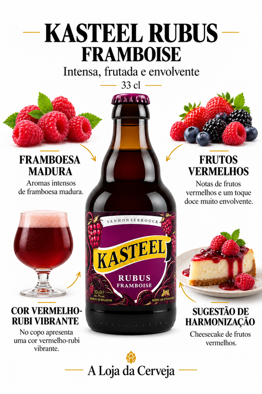 Infografia de Kasteel Rubus Framboise 33 cl, com o produto ao centro, características e sugestão de harmonização em português. A Loja da Cerveja.
