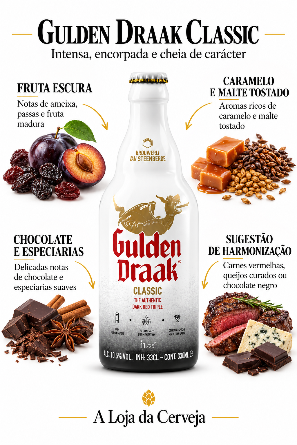 Infografia de Gulden Draak Classic, com o produto original, características e sugestão de harmonização em português. A Loja da Cerveja.