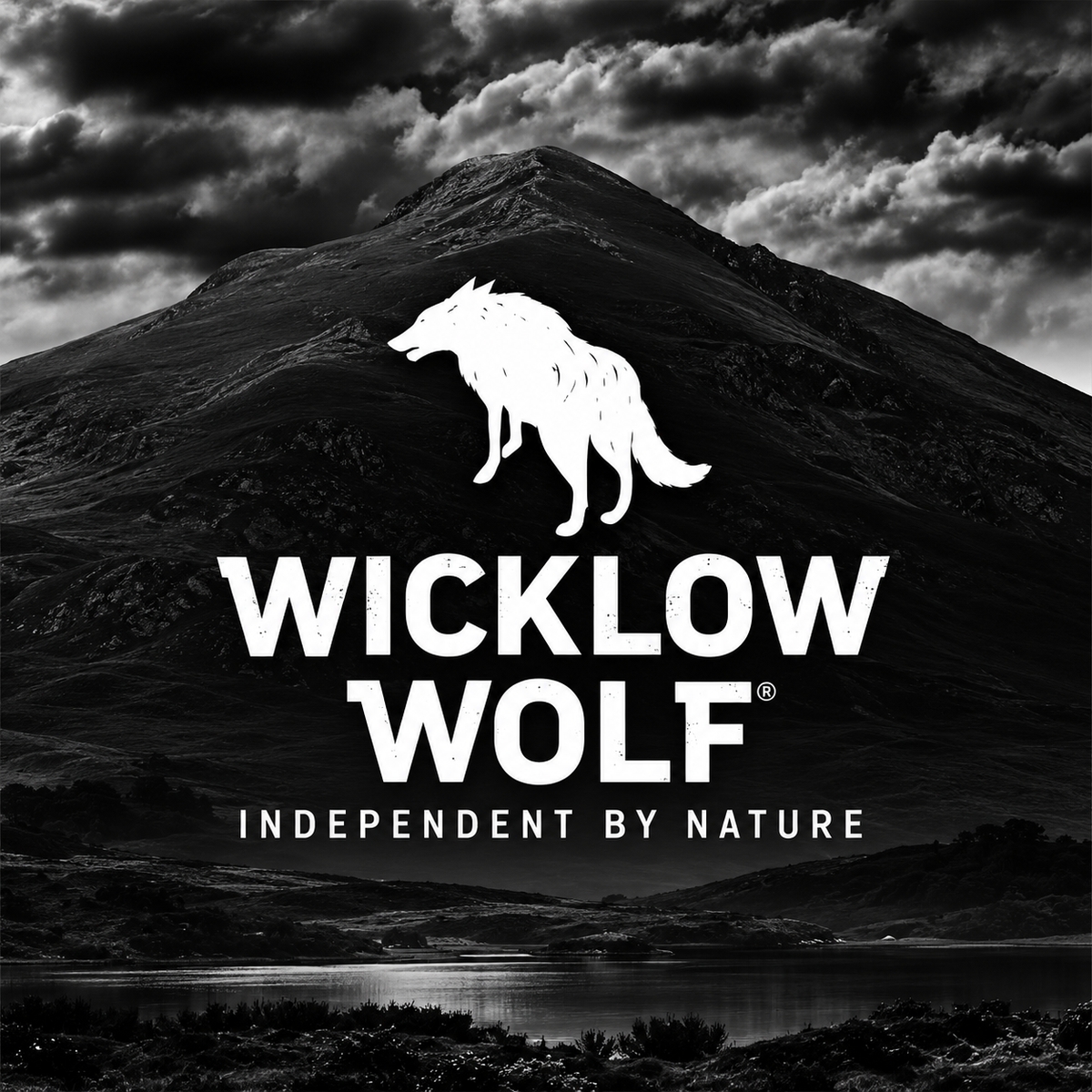 Wicklow Wolf – Cervejas Artesanais Irlandesas 🇮🇪🍺
