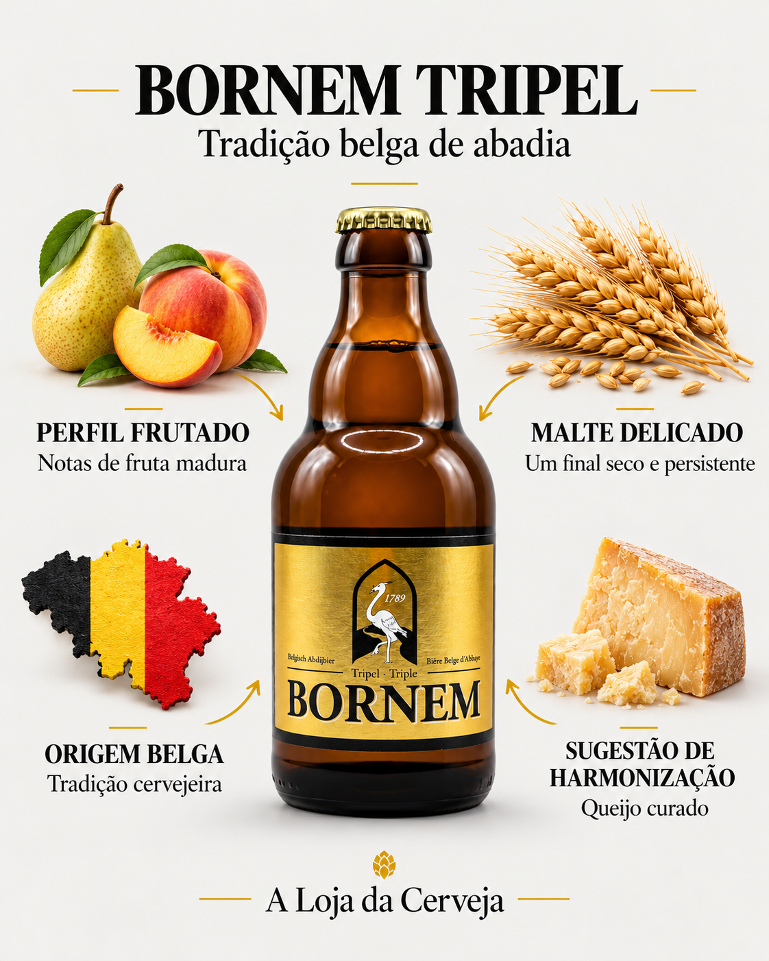 Bornem Tripel: perfil frutado — Notas de fruta madura; malte delicado — Um final seco e persistente; origem belga — Tradição cervejeira; sugestão de harmonização — Queijo curado.