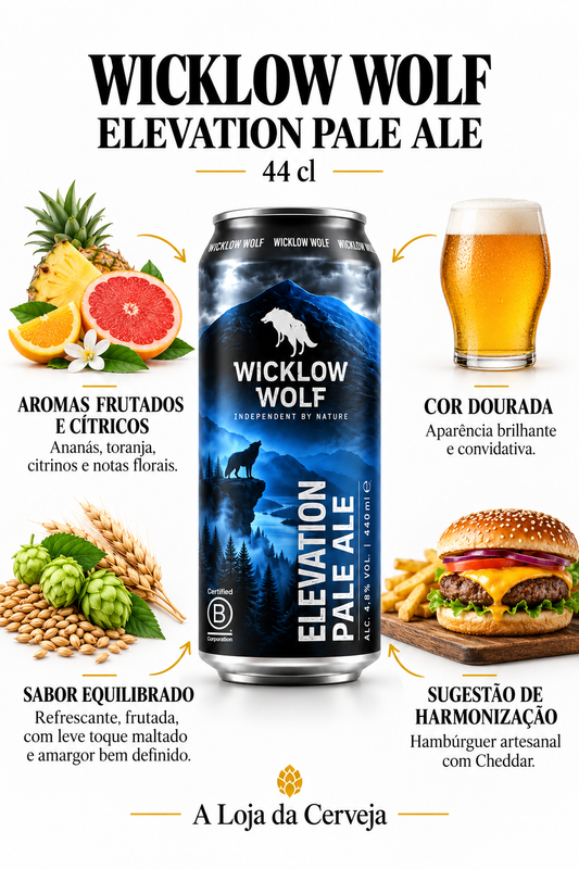 Infografia de Wicklow Elevation Pale Ale 44 cl, com a lata original ao centro, três características e sugestão de harmonização em português. A Loja da Cerveja.